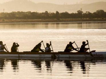 Scalewidthwyi1mdaixq Waka Ama